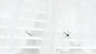 Kimmy Kim A Halloween To Remember